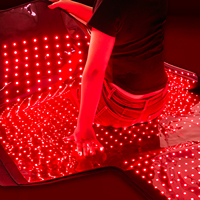 Appareil de luminothérapie rouge Sunsred à main, 850 nm, resserrement de la peau, traitement de l'acné, soulagement de la douleur, corps entier, étanche, US IT ZA CN