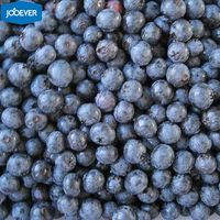 IQF Diepvries Blauwe Bessen Groothandelsprijs Bulk Diepvries Blauwe Bessen BRC HACCP Gecertificeerd Diepvriesvruchten voor Bakkerijen Smoothies OEM