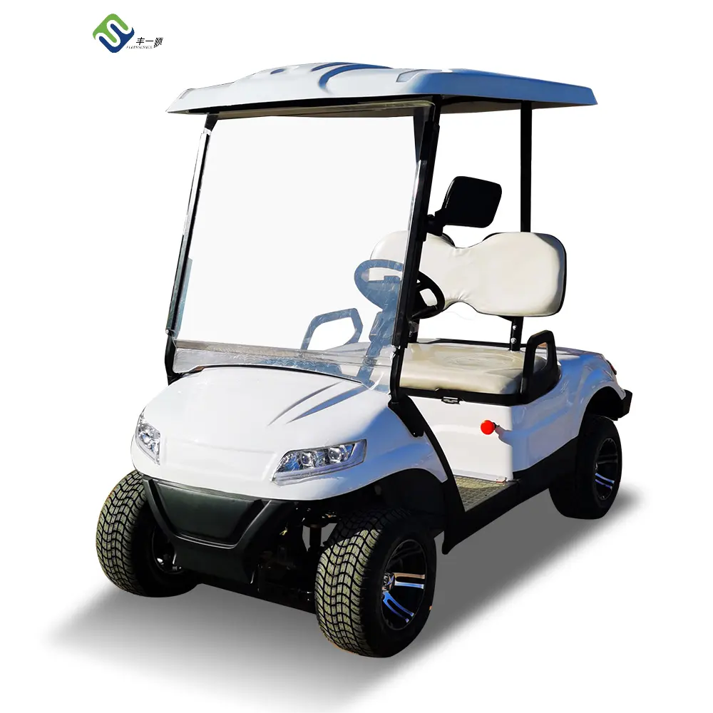Facile à utiliser tout nouveau Mini livraison gratuite visites guidées 4 roues 2 places 60V 3.5Kw chariots de golf électriques bon marché