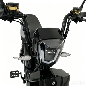 Motocicleta Eléctrica con Asistencia al Pedaleo, Alcance de 200 km, Velocidad de 45 km/h, Scooters Eléctricos de 48V 52Ah 54.6AH 70Ah, Suministro Directo de Fábrica - Product Image 5