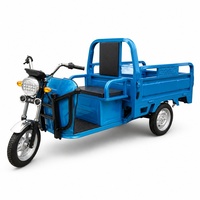 60V Electric Cargo Tricycle 501-800W Three Wheel Utility Transport Motorcycle Open Body 300-400kg Payload