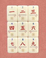 Set Ubin Mahjong Akrilik Amerika Mewah dengan Lukisan Bunga yang Indah, Dilengkapi Aksesoris Permainan Mahjong Keluarga AS