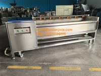 Borstelpolijstmachine Voor Dadels Jujube Dadelpalm Droogborstelreinigingsmachine