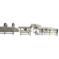 Automatische Aardappelpeer Sinaasappeltomatenreinigingsmachine Groentefruitreinigingsmachine