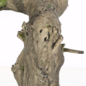 La vida-como <span class=keywords><strong>Aglaia</strong></span> Odorata Lour Milán de Banyan plantas artificiales árbol Bonsai - Product Image 6