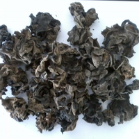 Offre Spéciale Chine Fabrication Sec noir champignon champignons séchés prix
