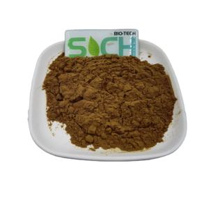 Ekstrak Coleus Forskohlii Murni Alami Bubuk Ekstrak Coleus Forskohlii <span class=keywords><strong>Forskolin</strong></span> 10% <span class=keywords><strong>20%</strong></span> 98% - Product Image 1