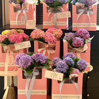 Bouquets de fleurs Plantes en pot Cadeaux créatifs de pendaison de crémaillère Boîtes à fleurs Boîtes décoratives Arrangements floraux Vente en gros
