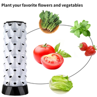 Kit d'hydroponie pour ferme intelligente, système de jardinage vertical auto-arrosant, système de jardinage intérieur, tour hydroponique commerciale, tour à ananas