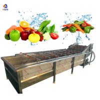 Automatische fruit- en groentewasmachine industriële tomaten komkommer gember reinigings- sorteer- en verwerkingslijn fruitwasser