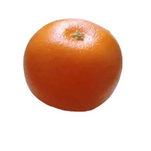 Realistisches Gefühl künstliche Frucht orange,EPS-Material orange für die früh kindliche Bildung
