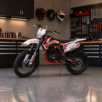 Moto tout-terrain 4 temps KT2 PR300 300cc, moto de course, fourche de 230 mm de course, garde au sol de 310 mm