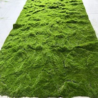 Vente directe d'usine tapis de mousse artificielle de grande taille pour la conception de jardin nouvelles plantes de verdure de gazon Moos pour la Saint-Valentin de mariage