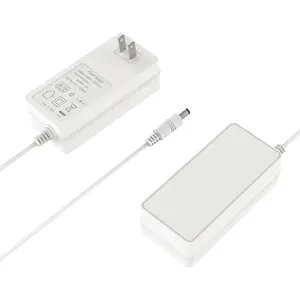 Adattatore di alimentazione 16.8V 1A caricabatteria agli ioni di litio con indicatore LED interfaccia 5.5x2.5 2.1mm adatto per 14.4V 14.8V 16.8V