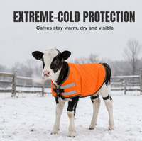 Couverture de manteau de veau imperméable chaude d'hiver d'approvisionnement direct d'usine pour les veaux nouveau-nés poulain cheval bétail équipement de ferme de bétail