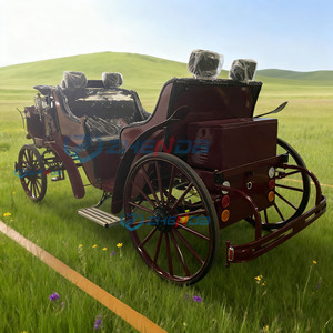 ZHENDA Luxury Electric Sightseeing Horse Carriage 6-Person Capacity Steel <b>Frame</b> Customizable Color-Horseless Fashion for Parks - Product Image 3