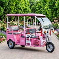 Tricycle électrique rose personnalisable avec auvent pour les visites d'hôtels et de parcs