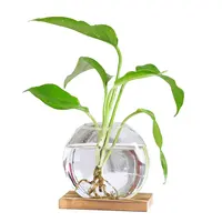 Rotondo creativo pianta idroponica aneto verde ufficio desktop vasi di vetro e cristallo base nordica in legno vaso di fiori per la decorazione domestica