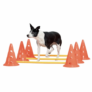 Pawise chó đào tạo nhanh nhẹn cực nhảy trò chơi ngoài trời khóa học trở ngại Starter Kit Vòng đường hầm nhanh nhẹn Set - Product Image 1