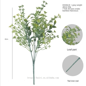 Vente Flash 2026 : Décoration de Mariage et d'Intérieur <span class=keywords><strong>en</strong></span> Eucalyptus de Qualité Supérieure - Product Image 5