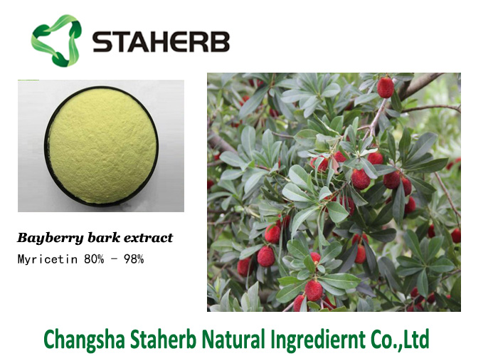 Free sample Myricetin powder Bayberry Bark extract 98% dihydromyricetin Myricetin