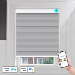 Thông Minh Cơ Động Tùy Chỉnh Ngày Và Đêm Mất Điện Hai Lớp Rèm Ngựa Vằn Không Dây Điện Tự Động Cửa Sổ Rèm Ngựa Vằn Cho Văn Phòng - Product Image 5