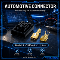 Connecteurs électriques automobiles à connexion rapide mâle-femelle 2 broches en cuivre PA66 étanches IP67 avec support de personnalisation