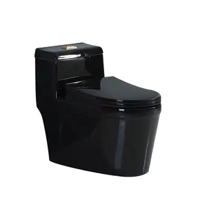 Fannisi design hot sale Style noble Never fade ceramics sanitary wares black Colour toilets water closet