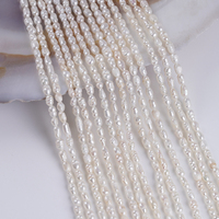 Brins de perles d'eau douce naturelles de forme riz blanc de 2,5-3 mm, qualité A, vente en gros pour la fabrication de bijoux, prix promotionnel