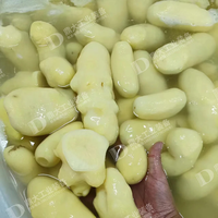 Volledig automatische productielijn voor Long Kun aardappelchips, complete productielijn voor vers gesneden aardappelchips