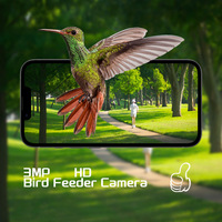 Mangeoire à oiseaux intelligente avec caméra 3MP HD, identification des espèces par IA, alimentation solaire, sans fil, pour extérieur, caméra WiFi, vente en gros
