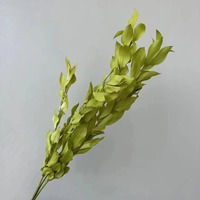 AX-88 Groothandel Natuurlijke Gedroogde Bloemen Eeuwig Houdbare Oranje Bladeren 40-60cm voor Wanddecoratie Kerst & Thanksgiving Decoratie