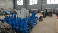 Machine automatique de fabrication de granulés d'aliments pour volailles 120 kg/h – Moulin à aliments durable pour le traitement des céréales et de la paille