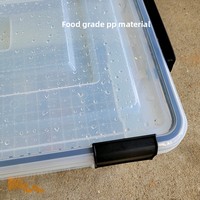 Boîte de transport rectangulaire transparente multifonctionnelle en plastique PP rigide, étanche et scellée, pour poissons vivants, à fixer sur voiture