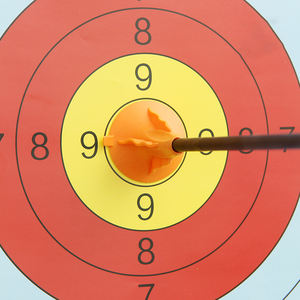 Équipement d'entraînement au tir à l'<span class=keywords><strong>arc</strong></span>, flèches à <span class=keywords><strong>ventouse</strong></span>, <span class=keywords><strong>arc</strong></span> et flèches pour enfants, jeu d'<span class=keywords><strong>arc</strong></span> et de flèches, flèches à <span class=keywords><strong>ventouse</strong></span> - Product Image 4