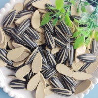 Aksesori Makanan Resin Miniatur untuk Rumah Boneka DIY 100pcs Ornamen Natal Figur Simulasi Biji Jeruk Melon Cabochon 3D