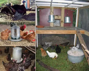 Migliore qualità di pollame agricoltura accessori zincato pollo alimentatore con il prezzo poco costoso