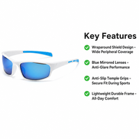 Nouvelles Lunettes de Cyclisme 2025 Tendance Dorées Unisexe Anti-Vent Anti-Sable Polarisées UV400 Anti-Buée Réglables