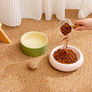 Bol en céramique pour chat, double couche, arrondi, multifonctionnel, pour l'eau et la nourriture - Product Image 2