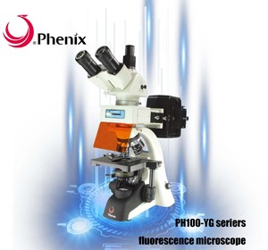 Phenix-Microscopio fluorescente profesional Binocular <span class=keywords><strong>Trinocular</strong></span> 40X-1600X para cultivo celular e investigación médica - Product Image 6