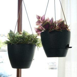Macetas Colgantes con <span class=keywords><strong>Autorriego</strong></span> para Plantas y Flores de Interior y Exterior, Macetas Colgantes - Product Image 6