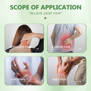 Argousier à action rapide puissant pommade apaisante plâtre chinois réparation musculaire articulaire soulagement de la douleur nerveuse arthrite - Product Image 2