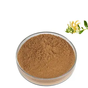 Wholesale Herbal Extract 10:1 Honeysuckle Flower Extract Lonicera Japonica Extract Powder