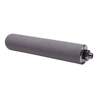 Cartouche filtrante frittée en poudre de titane de haute pureté 5.0 microns 10 pouces DOE Code7 pour vapeur