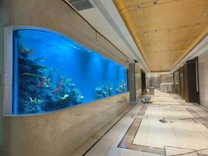 Zeewater Plexiglas <span class=keywords><strong>Aquarium</strong></span> Acryl <span class=keywords><strong>Aquarium</strong></span> Op Maat Grote Acryl Schildpad Tank Acryl <span class=keywords><strong>Aquarium</strong></span> <span class=keywords><strong>Aquarium</strong></span> - Product Image 5