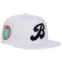 Casquette de baseball unisexe en coton 100 % à 6 panneaux, brodée, style hip-hop, réglable, à visière plate, type snapback, pour skateurs urbains - Vente en gros