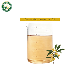 Aceite Esencial Líquido de Flor de Azahar Puro y Natural de Strength Factory con Fragancia Dulce, Soluble en Aceite, para el Cuidado de la Piel y el Cabello - Product Image 2