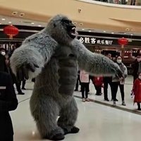 Costume de mascotte de gorille géant gonflable en gros pour adultes