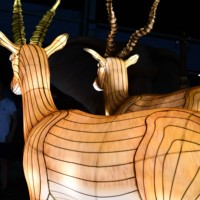 Linternas LED de Seda Chinas Impermeables con Formas de Animales, Decoraciones para Festivales al Aire Libre, Halloween/Día de Acción de Gracias/Navidad/Año Nuevo