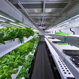 Contenedor de Cultivo sin Suelo de Alta Eficiencia con Monitoreo Inteligente y Bajo Consumo de Energía para Vegetales de Hoja - Product Image 5